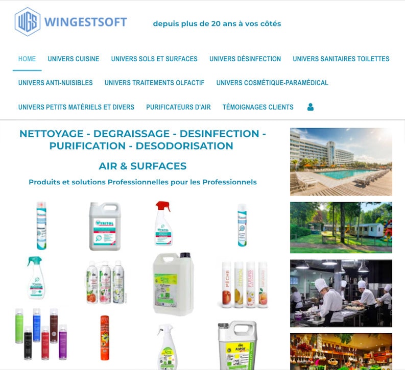 site web wingestsoft